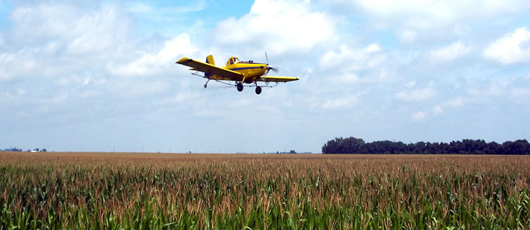 #htmlcaption_5 Image Slider